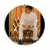 Profile picture of Chanvit Rattanatrakarn